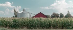 julian scholl farm on a beautiful day